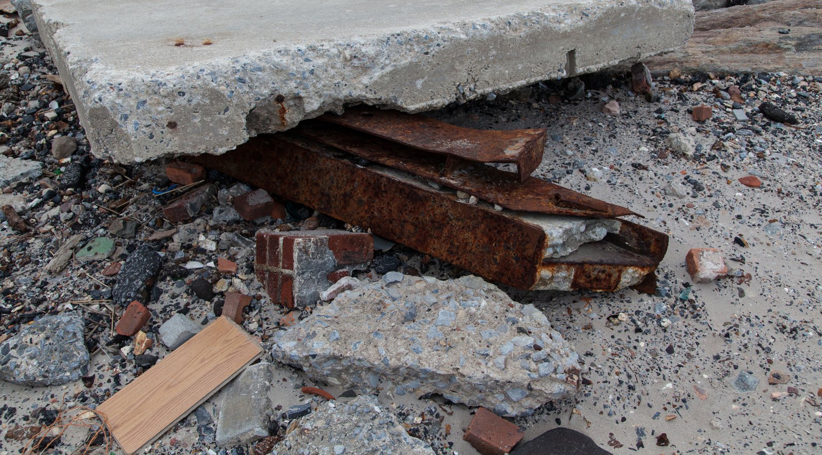 art-of-sandy-mo-seagate 2-32.jpg